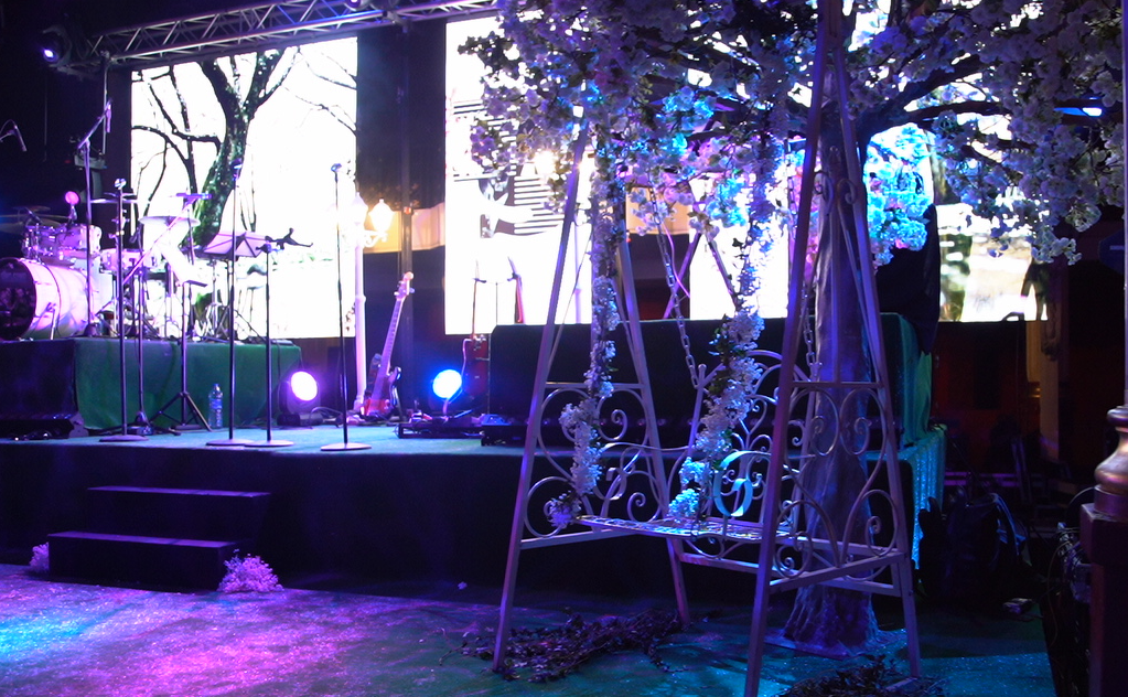 Moment magique avec spectacle sur mesure